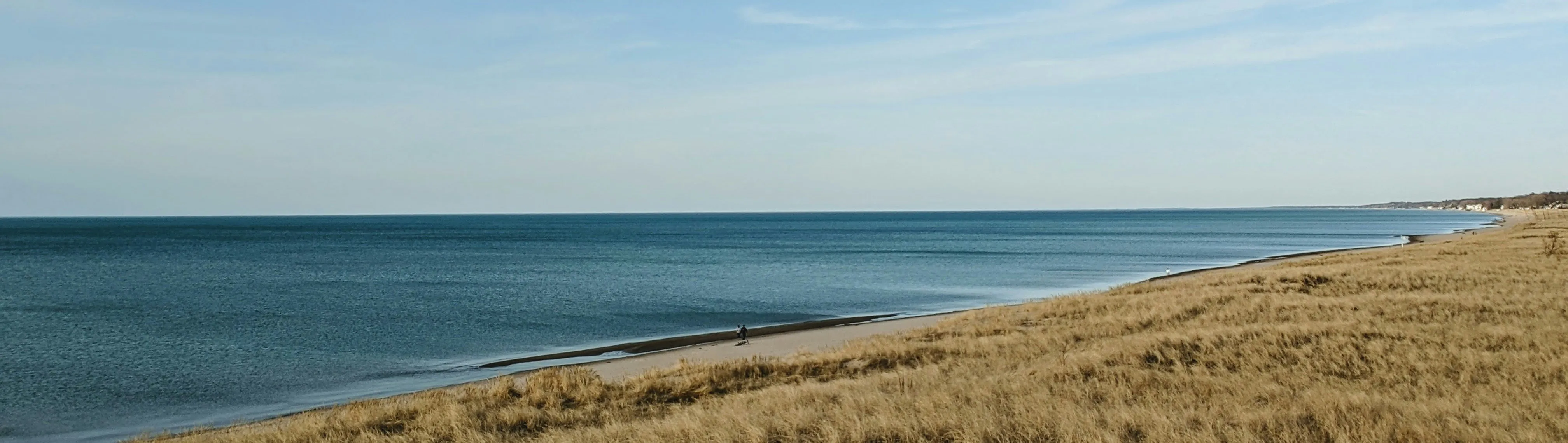 image of Michigan lakeshore
